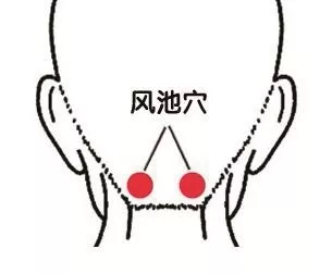 風池穴.png
